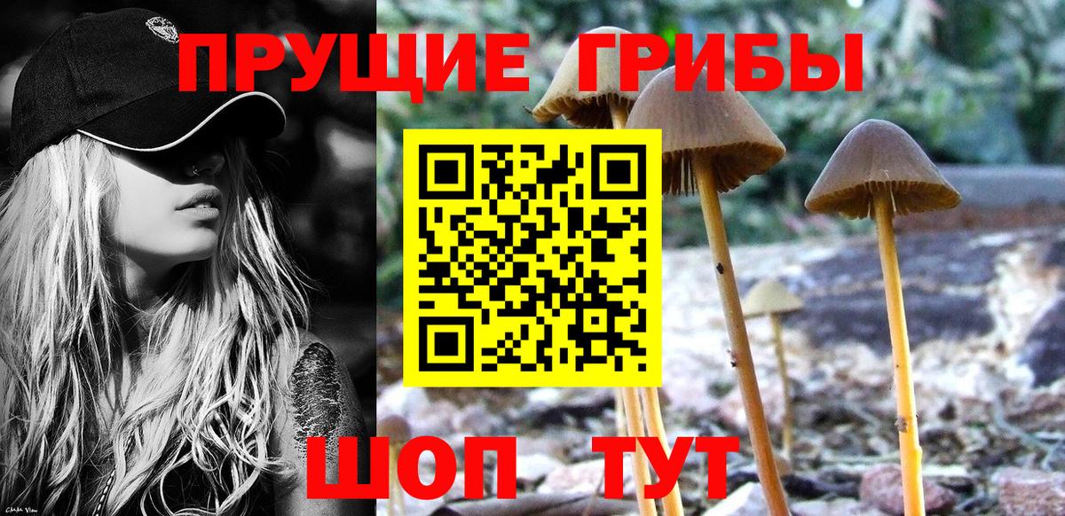 Псилоцибиновые грибы прущие грибы  Вход с VPN  Домодедово 