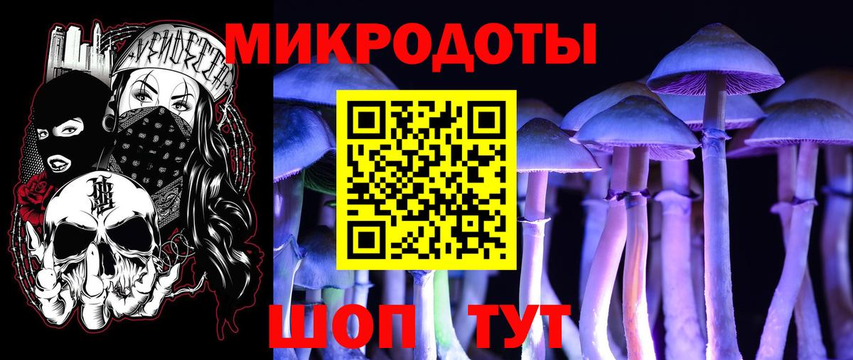 Псилоцибиновые грибы мухоморы Домодедово